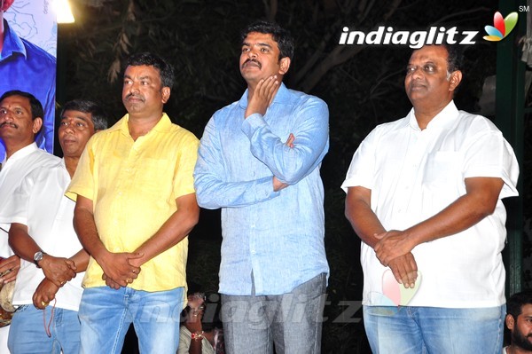 'Kundanapu Bomma' Audio Launch (Set-1)