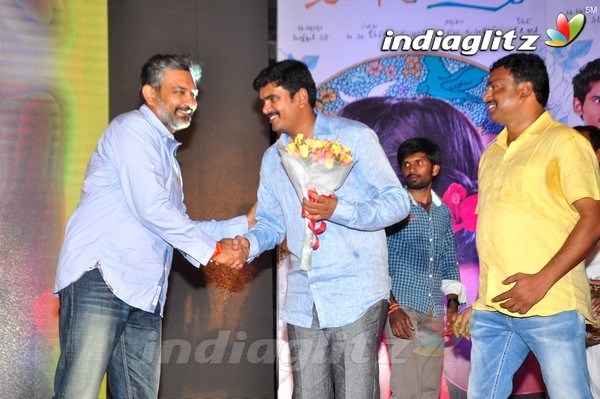 'Kundanapu Bomma' Audio Launch (Set-2)