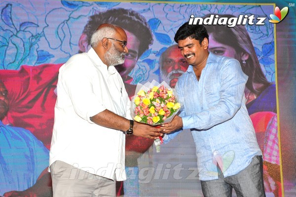 'Kundanapu Bomma' Audio Launch (Set-2)