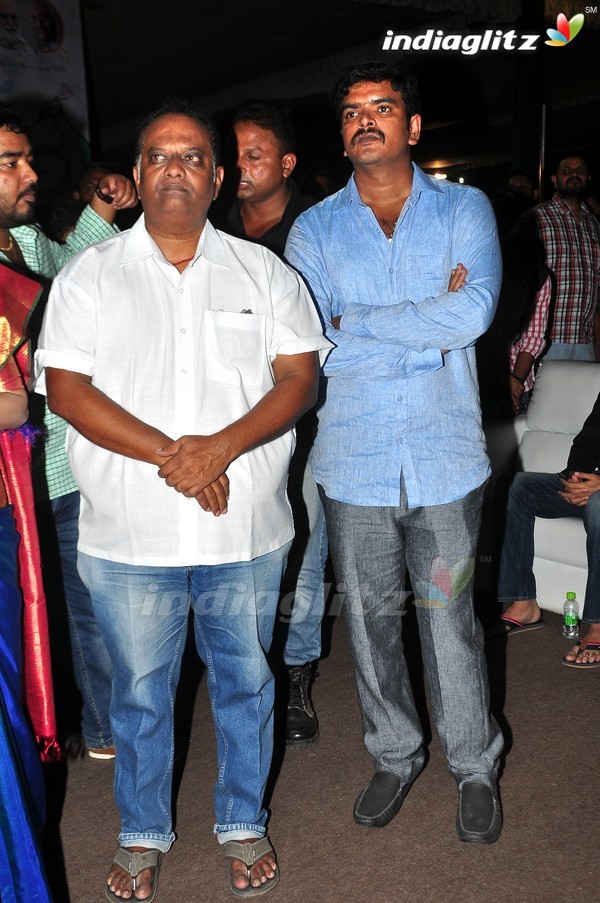 'Kundanapu Bomma' Audio Launch (Set-2)