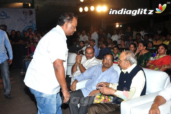 'Kundanapu Bomma' Audio Launch (Set-2)