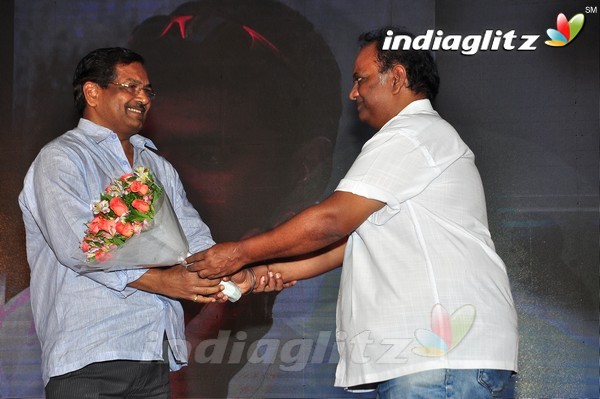 'Kundanapu Bomma' Audio Launch (Set-2)