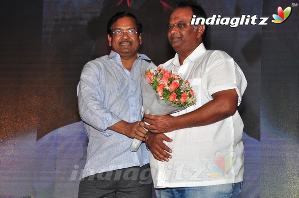 'Kundanapu Bomma' Audio Launch (Set-2)