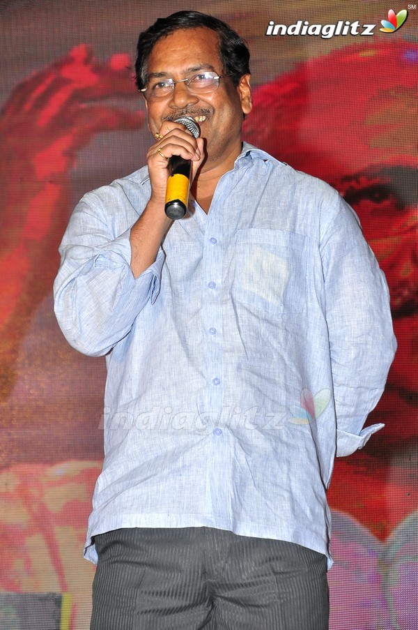 'Kundanapu Bomma' Audio Launch (Set-2)