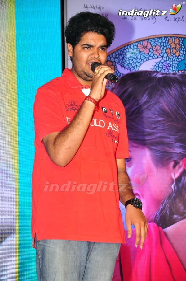 'Kundanapu Bomma' Audio Launch (Set-2)