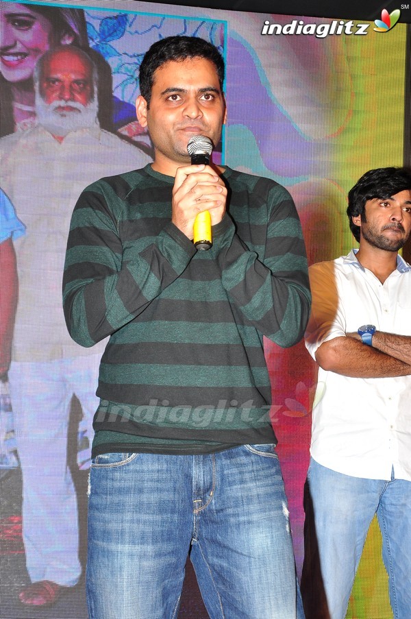 'Kundanapu Bomma' Audio Launch (Set-2)