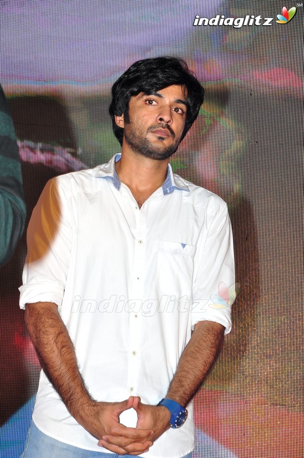 'Kundanapu Bomma' Audio Launch (Set-2)