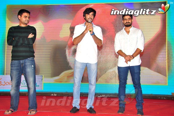 'Kundanapu Bomma' Audio Launch (Set-2)