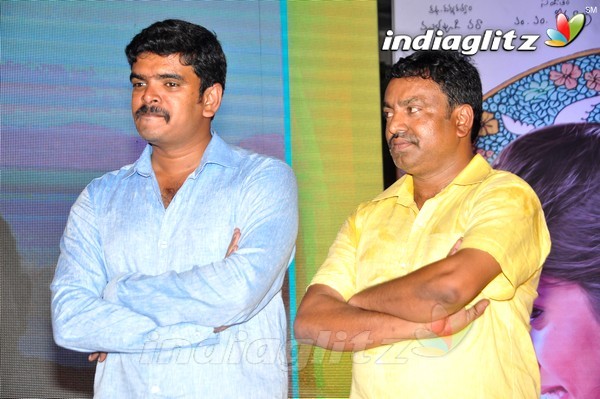 'Kundanapu Bomma' Audio Launch (Set-2)