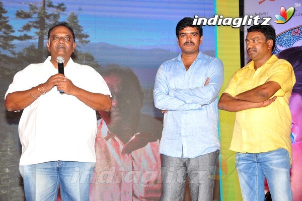 'Kundanapu Bomma' Audio Launch (Set-2)