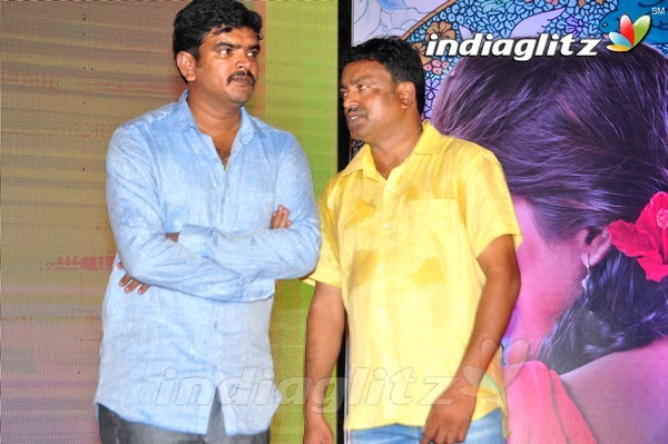 'Kundanapu Bomma' Audio Launch (Set-2)