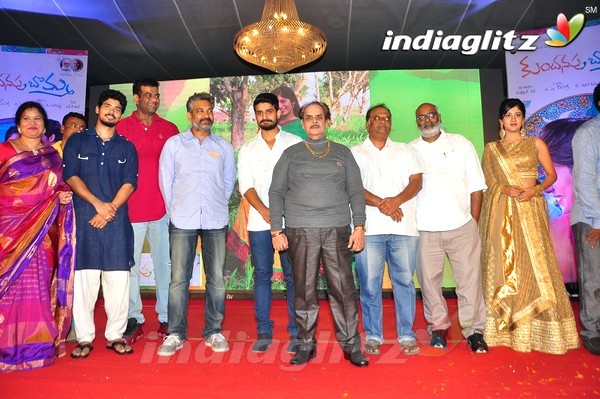 'Kundanapu Bomma' Audio Launch (Set-2)