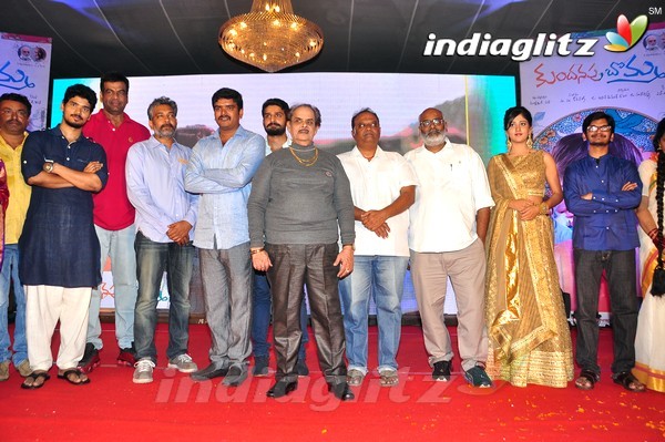 'Kundanapu Bomma' Audio Launch (Set-2)