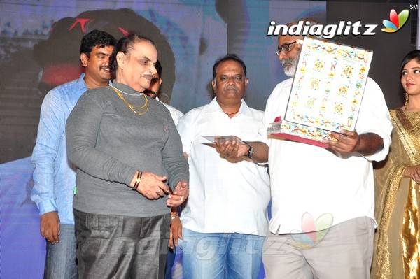 'Kundanapu Bomma' Audio Launch (Set-2)