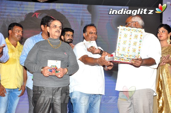 'Kundanapu Bomma' Audio Launch (Set-2)