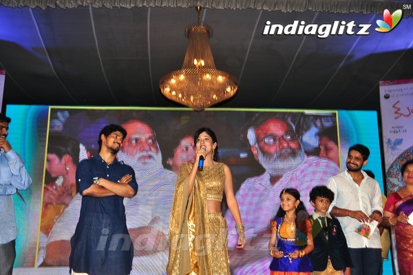 'Kundanapu Bomma' Audio Launch (Set-2)