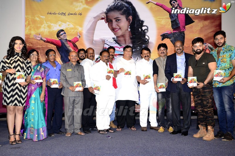 'Lavanya With Love Boys' Audio Launch