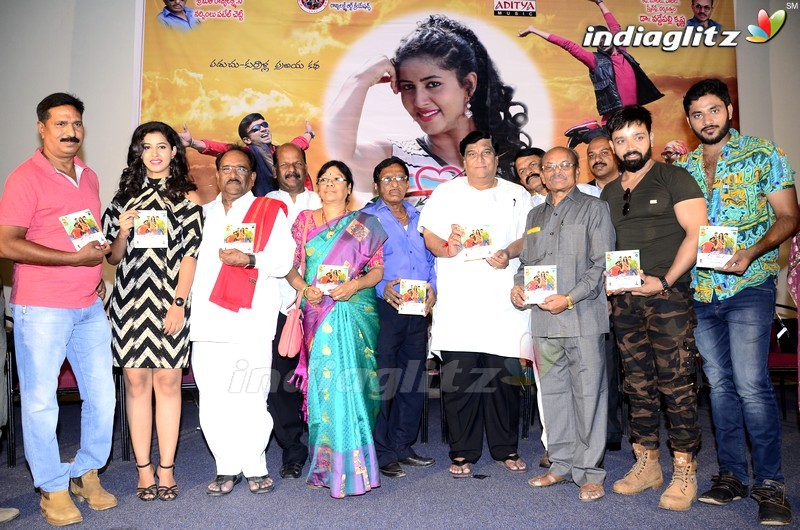 'Lavanya With Love Boys' Audio Launch