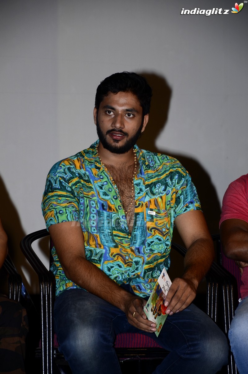 'Lavanya With Love Boys' Audio Launch