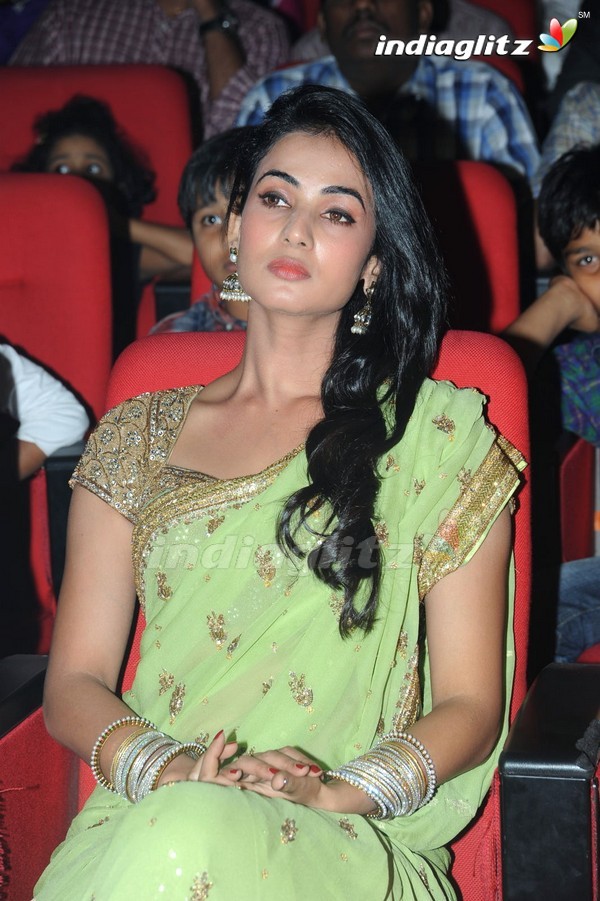 'Legend Audio Launch (Set-3)