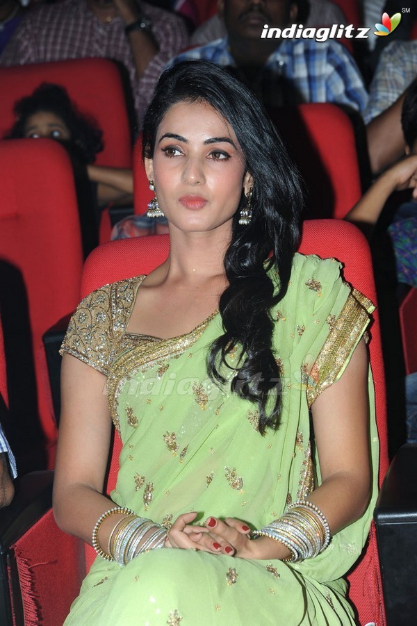 'Legend Audio Launch (Set-3)