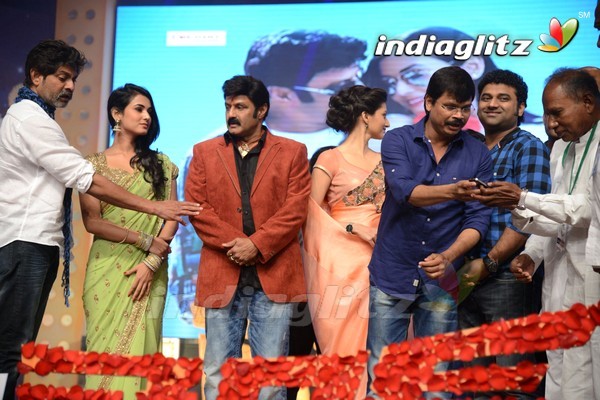 'Legend Audio Launch (Set-3)