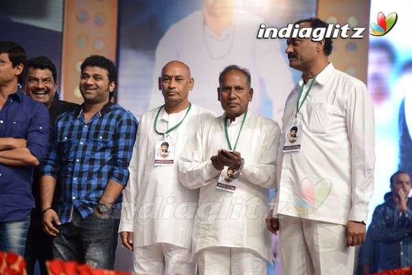 'Legend Audio Launch (Set-3)