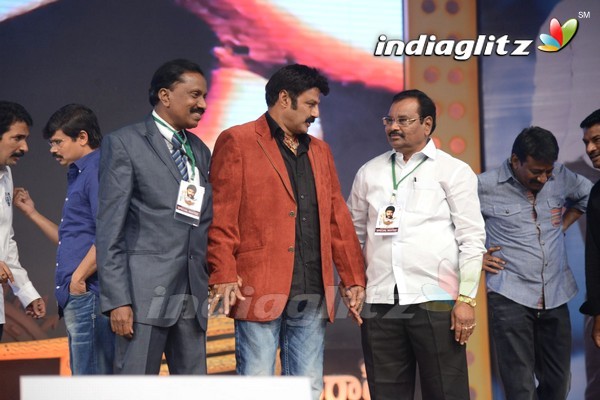 'Legend Audio Launch (Set-3)