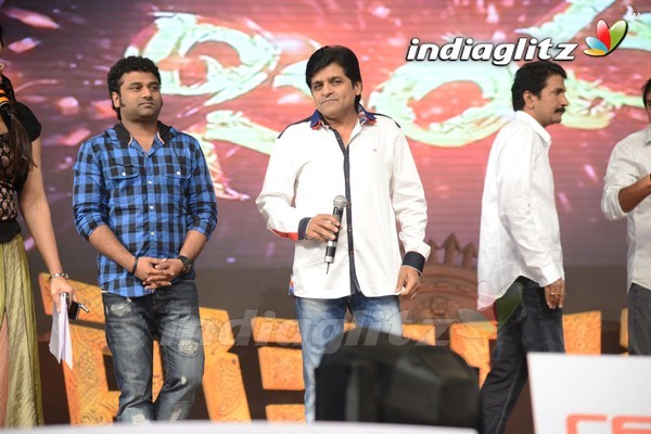 'Legend Audio Launch (Set-3)