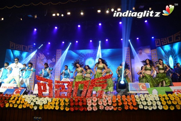 'Legend Audio Launch (Set-3)