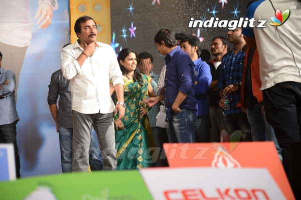 'Legend Audio Launch (Set-3)