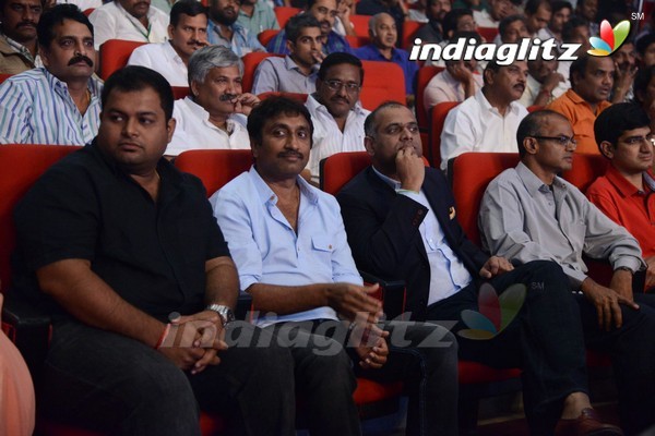 'Legend Audio Launch (Set-3)