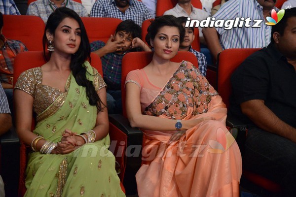 'Legend Audio Launch (Set-3)