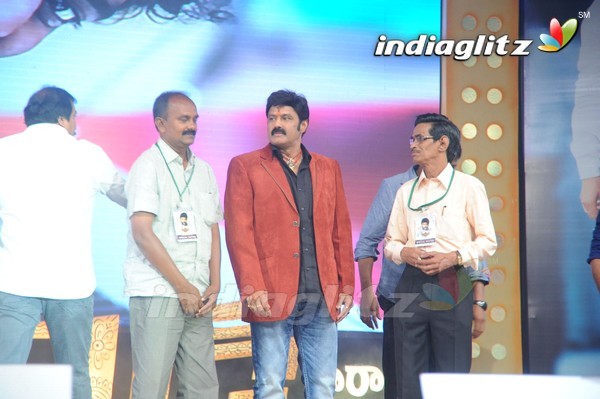 'Legend Audio Launch (Set-3)