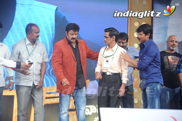 'Legend Audio Launch (Set-3)