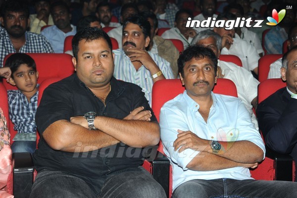 'Legend Audio Launch (Set-3)