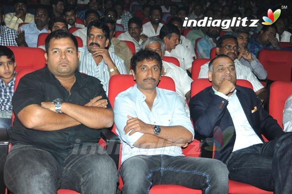 'Legend Audio Launch (Set-3)