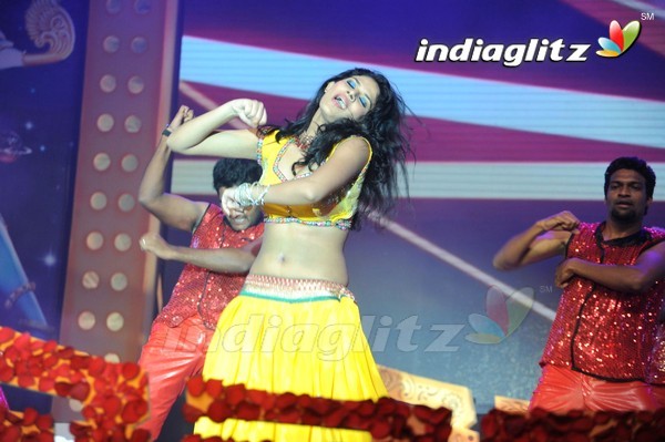 'Legend Audio Launch (Set-3)