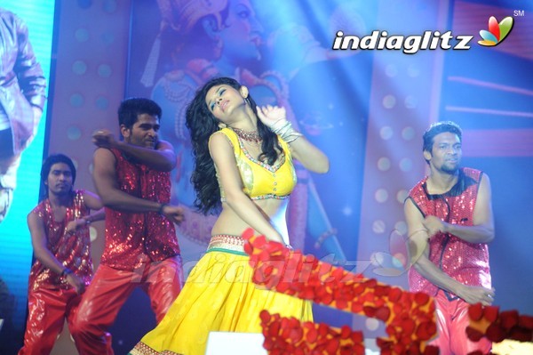 'Legend Audio Launch (Set-3)