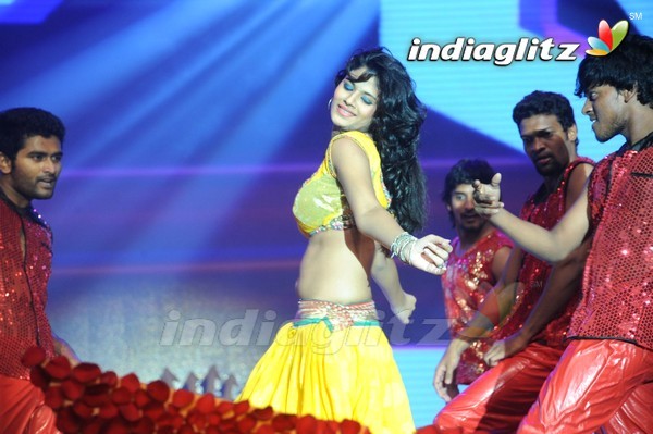 'Legend Audio Launch (Set-3)