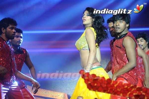 'Legend Audio Launch (Set-3)