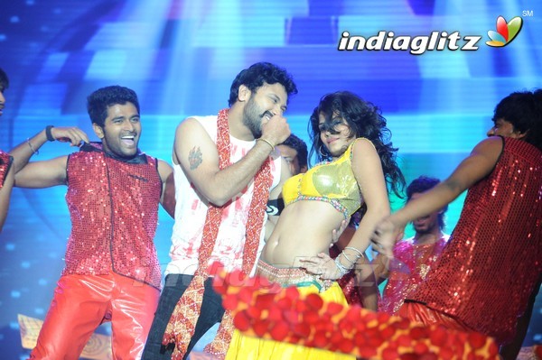 'Legend Audio Launch (Set-3)