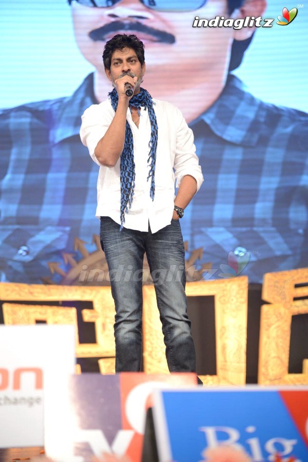 'Legend Audio Launch (Set-3)