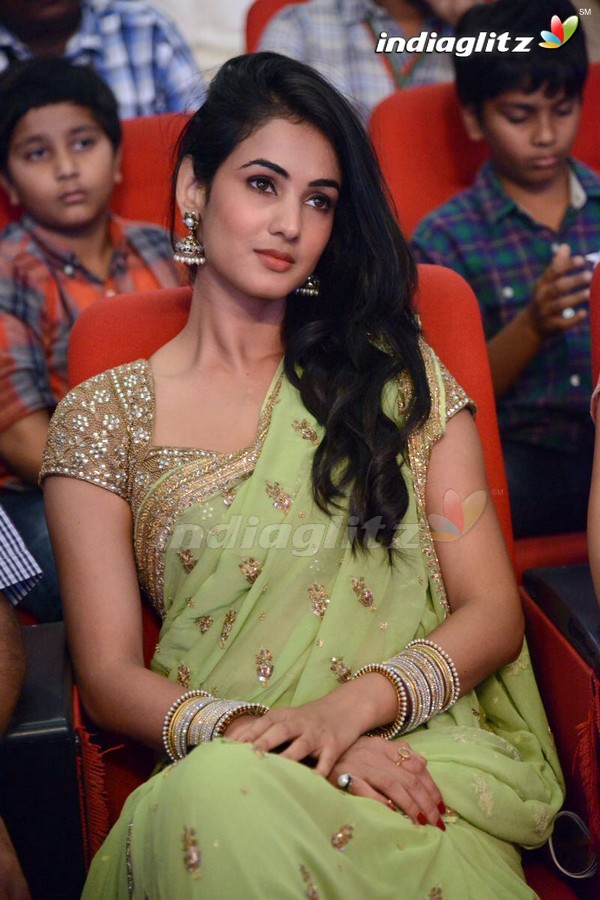 'Legend Audio Launch (Set-3)