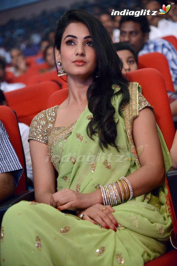 'Legend Audio Launch (Set-3)