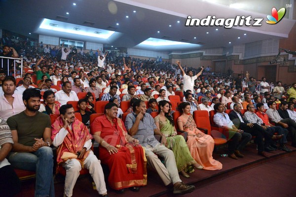 'Legend Audio Launch (Set-3)