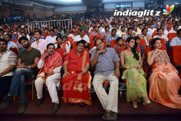 'Legend Audio Launch (Set-3)