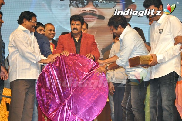 'Legend Audio Launch (Set-3)