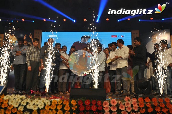 'Legend Audio Launch (Set-3)