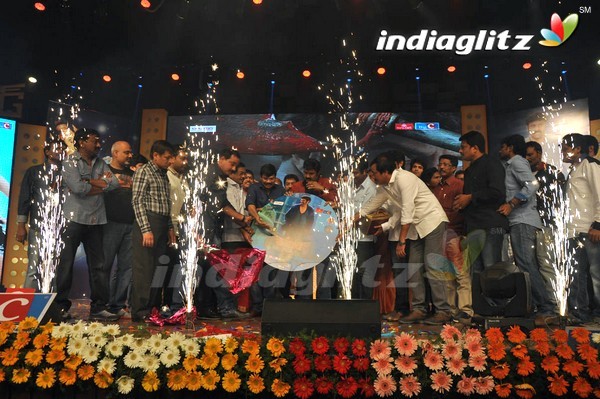 'Legend Audio Launch (Set-3)